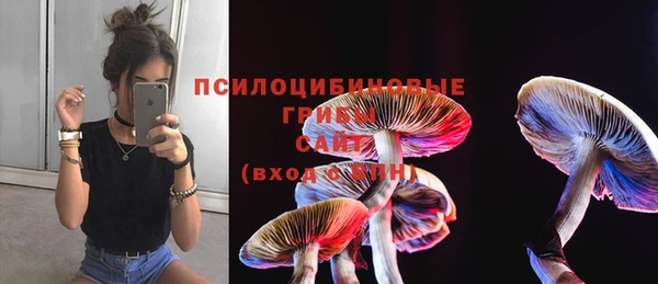 apvp Тихвин