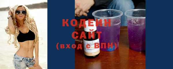 дурь Осташков