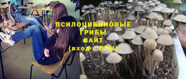 дурь Осташков