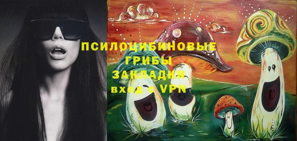 дурь Осташков