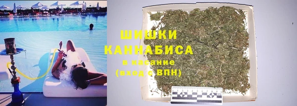 дурь Осташков
