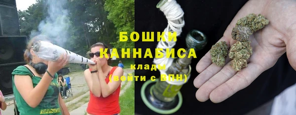 дурь Осташков