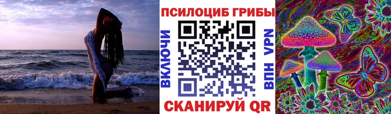 наркота Биробиджан ссылка на мегу зеркало Галлюциногенные грибы ЛСД