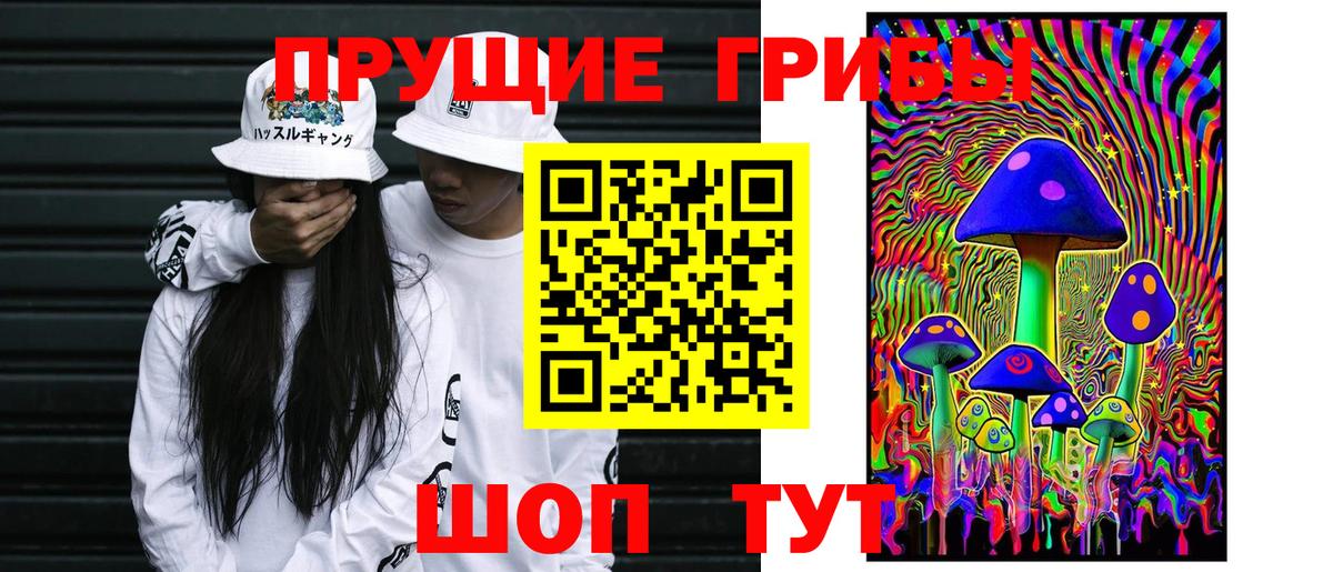 Псилоцибиновые грибы мицелий Биробиджан