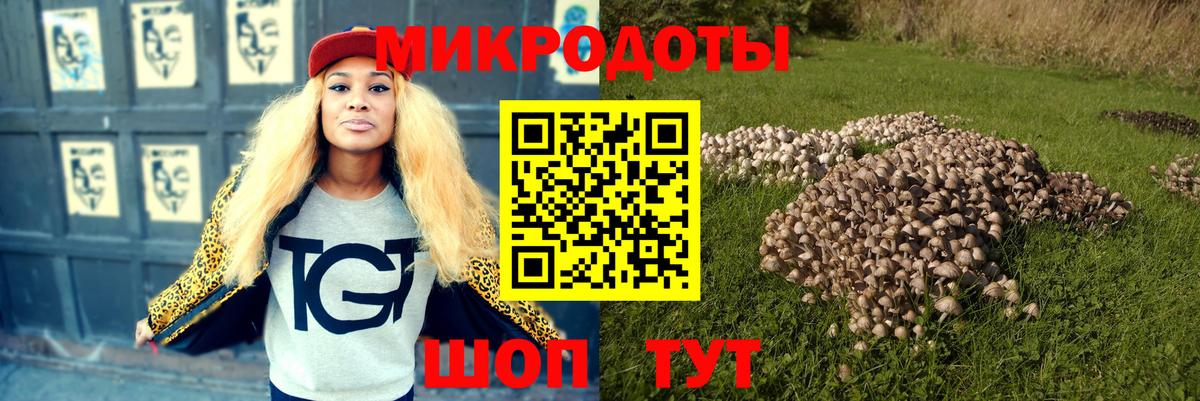 Галлюциногенные грибы мухоморы  Вход с VPN  Псилоцибиновые грибы GOLDEN TEACHER  закладка  Биробиджан 